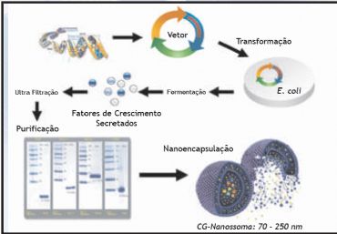 FATORES DE CRESCIMENTO